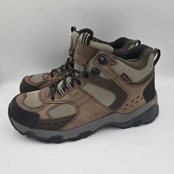 Cabela display picture 1
